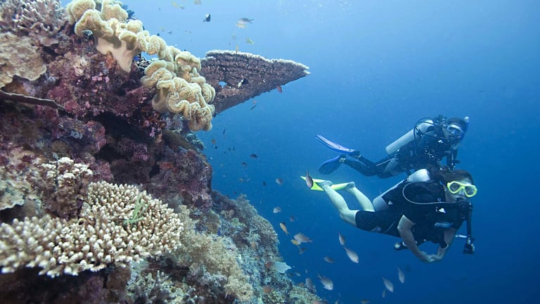 Fun dive at tioman island