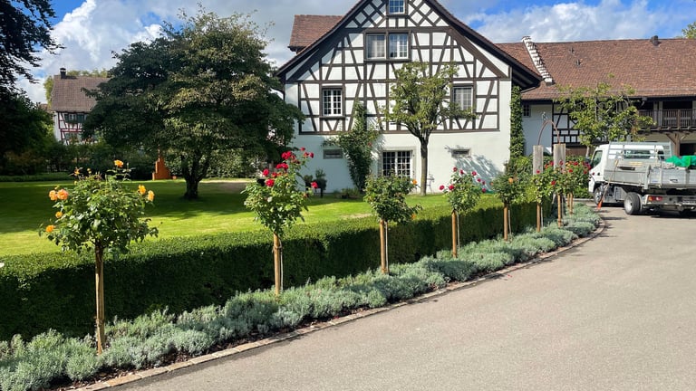 J. Landolt, liebevoll gestaltete Gärten mit Rosen, Hecken und Sitzplätzen in Bülach und Umgebung