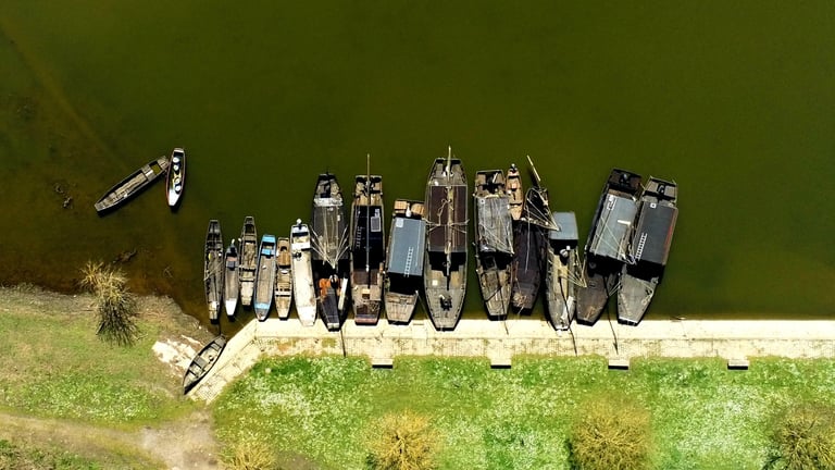 Drone vue sur des toues (Loire)