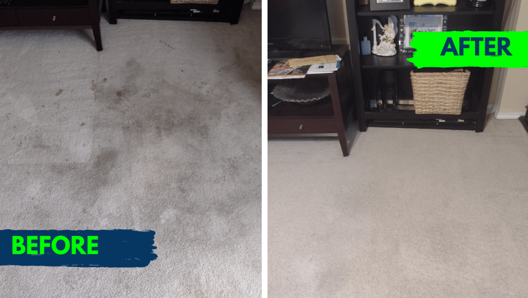 Image of Refresh Property Services after a carpet cleaning in san antonio, TX. 