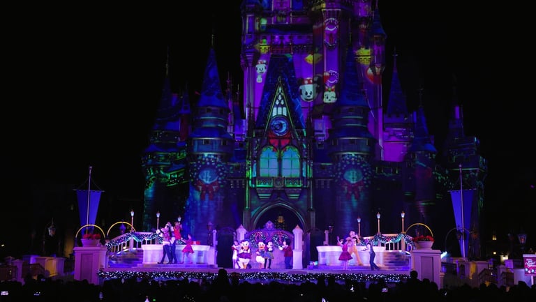 The Frozen Holiday Surprise (Magic Kingdom) - stage view