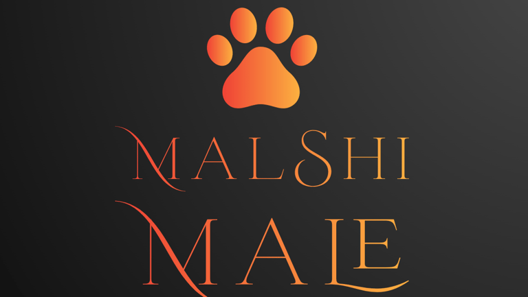 MalShi Male Perfect Paw Pups Logo