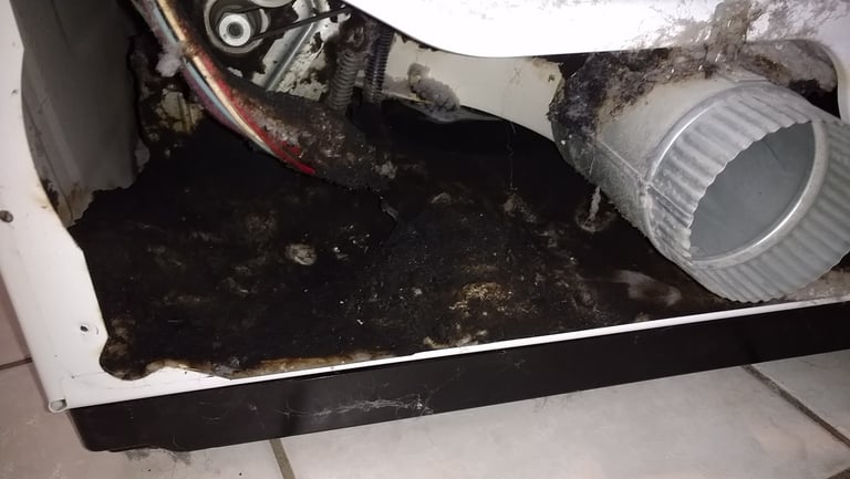Burned lint inside of clothes dryer located in St James City