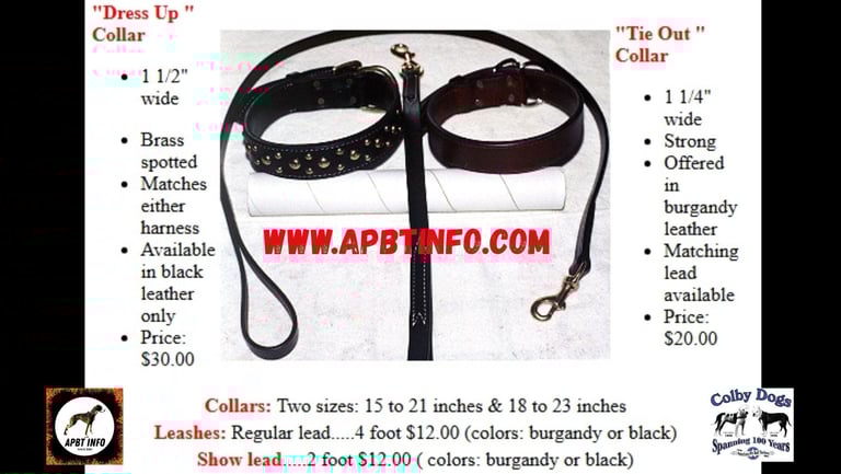 Colby Pit Bull Collar