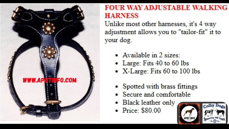Colby pit bull Harnesses