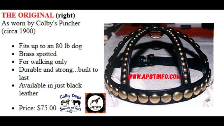 Colby PitBull Harnesses