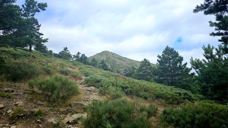 Montón de Trigo photographed by Nikoru