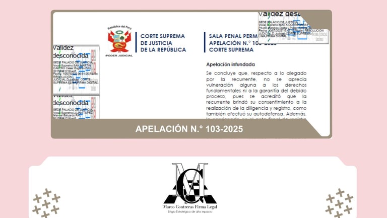 APELACIÓN Nº 103-2025
