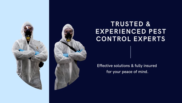 Trusted pest control specialists 