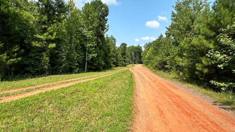 North Carolina dirt road