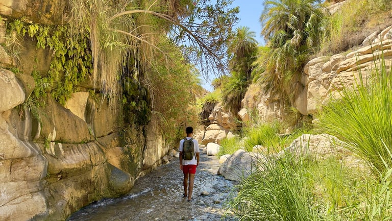Autotour en Jordanie – circuit en liberté à Petra, Wadi Rum et mer Morte