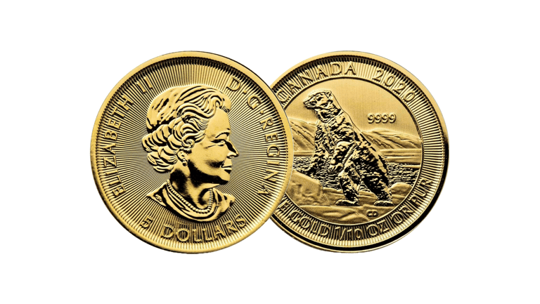 gold canadian polar bear coin