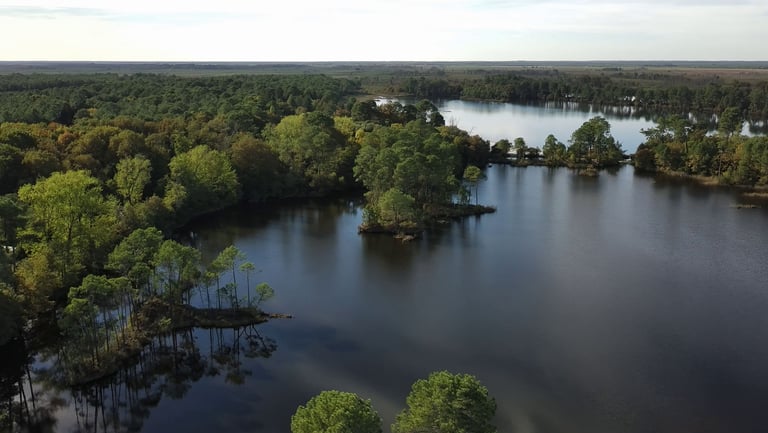 Vue aérienne d'un lac bleu calme entouré d'un paysage forestier verdoyant dense sous un ciel clair.