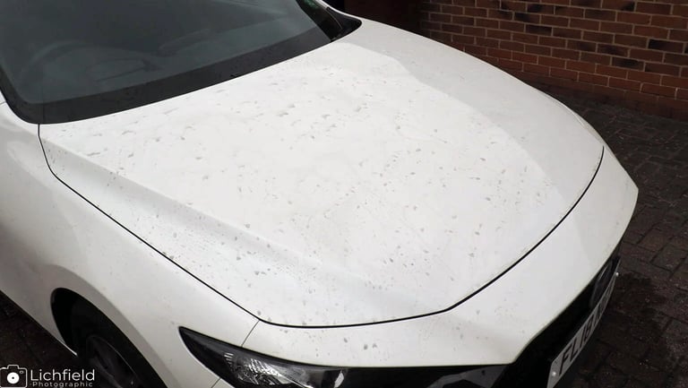 Initial Car Wash on White Car