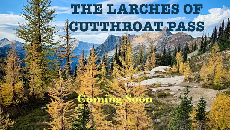 a mountain scene with a mountain in the background