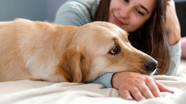 a woman laying on a bed with her dog