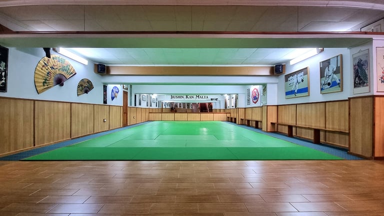 Jiushin Kan | Jiu-Jitsu | Martial Arts | Dojo | Malta