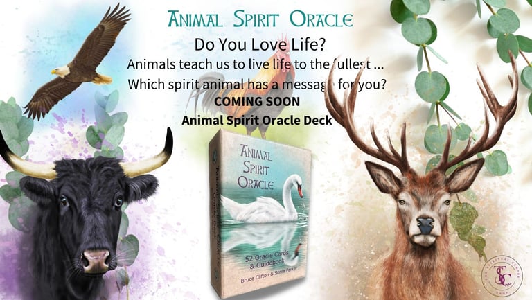 Animal Spirit oracle deck, publicity