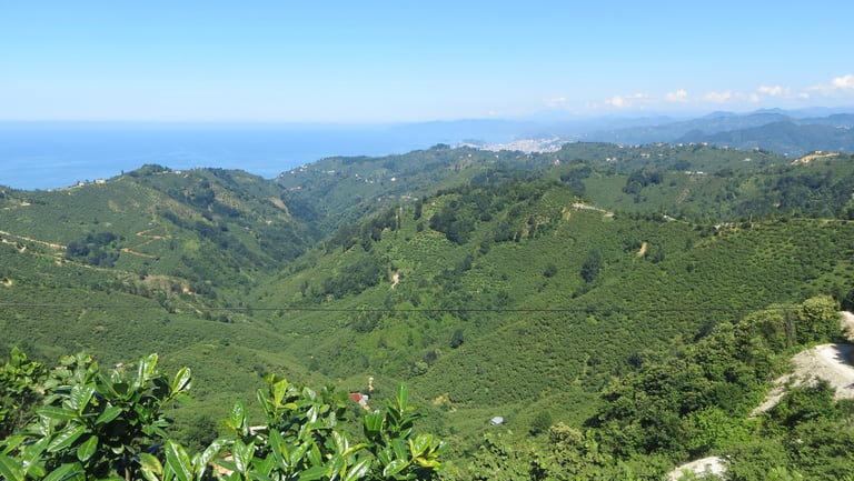 Hills around Bulancak