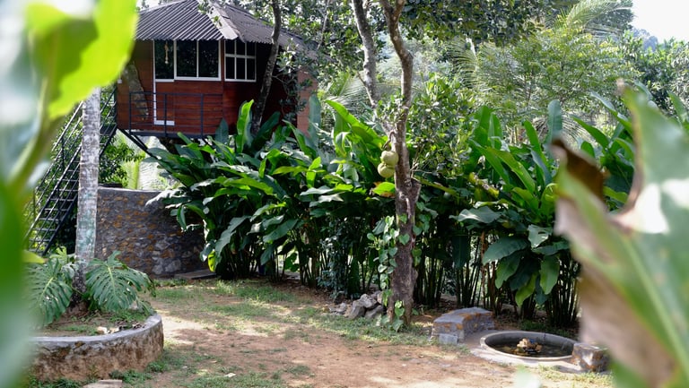 Treehouse