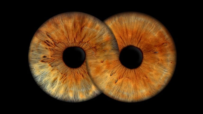 Iris Duo infini