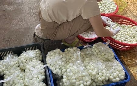 trứng chim cút bóc sẵn, chim cút thịt, chim bồ câu thịt giá sỉ 1 kg trứng chim cút bóc sẵn có bao nhiêu quả