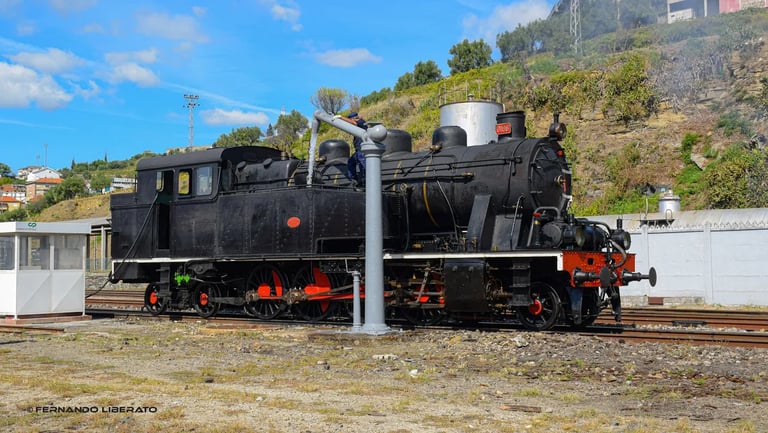Comboio histórico do Douro
