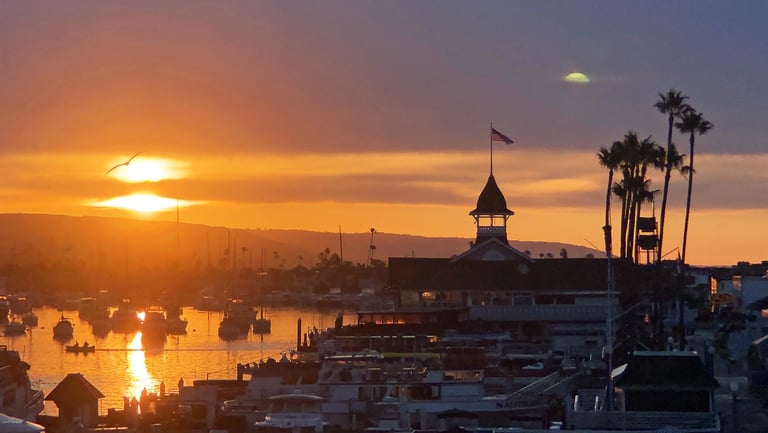 Sunrise over Newport Harbor with the moon setting in the upper right and a seagull in flight.