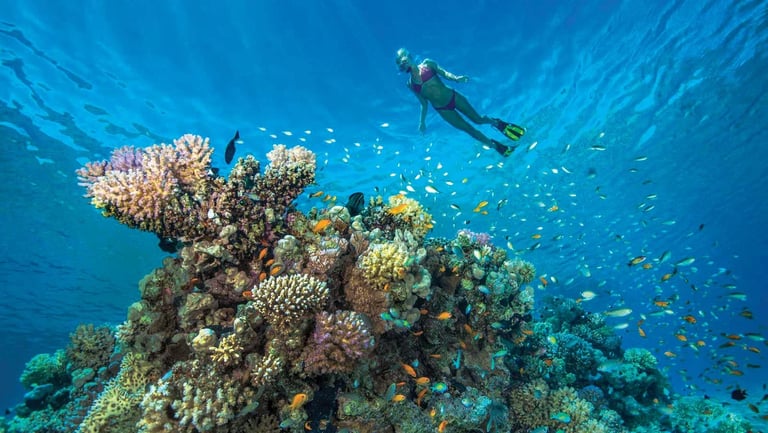 red-sea-snorkeling-reef-marsa-alam