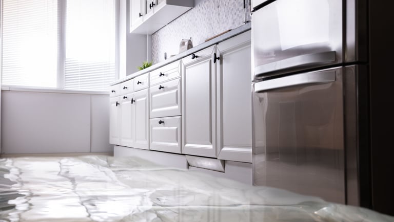 a kitchen with a refrigerator and a refrigerator freezer