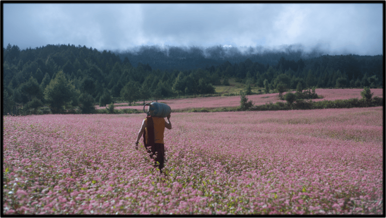 Vienuolis ir ginklas