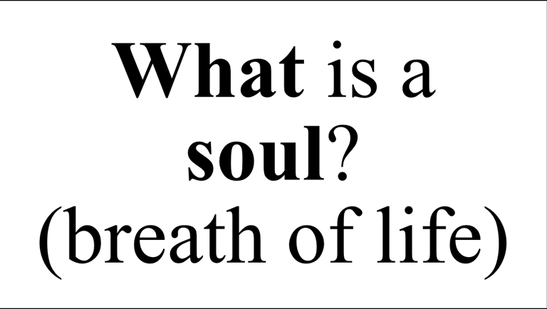 What is a soul? (breath of life)