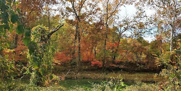 Chattanooga - Trail along the creek marked by 2 and 8 on the map. Fall colors are gorgeous.