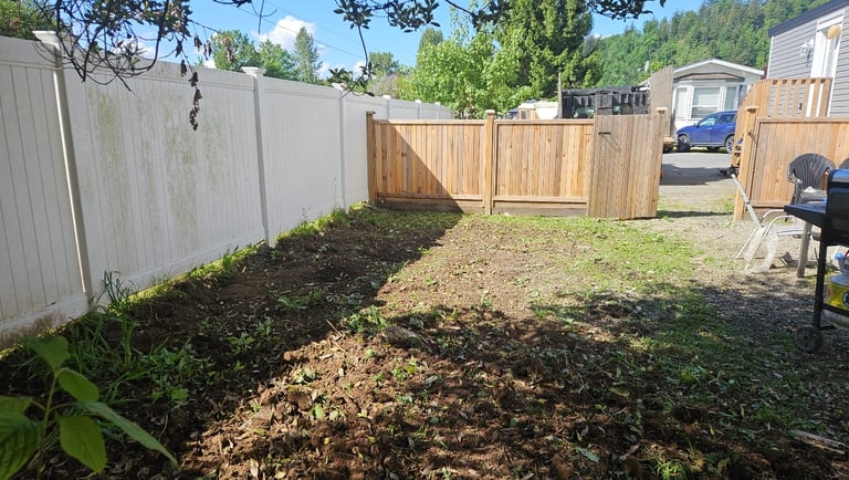 a back yard with fences and a gate where blackberries have been removed