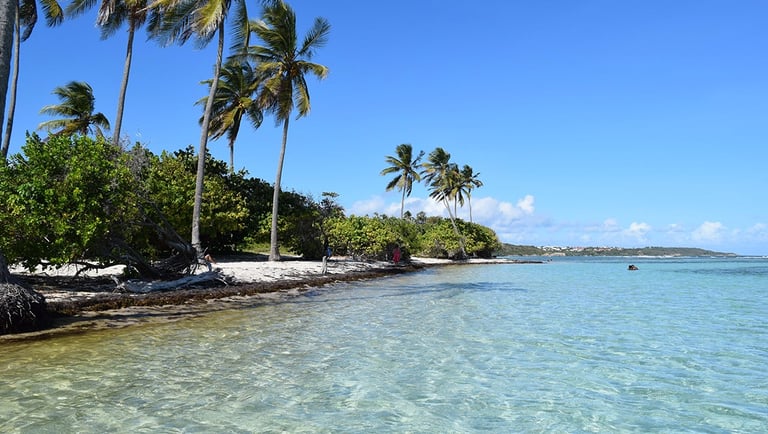 bois jolan voyage france guadeloupe