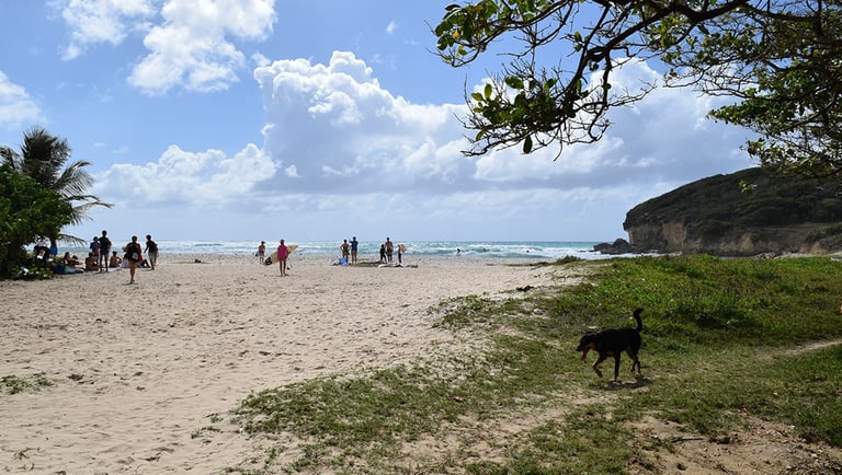 gwosable voyage france guadeloupe