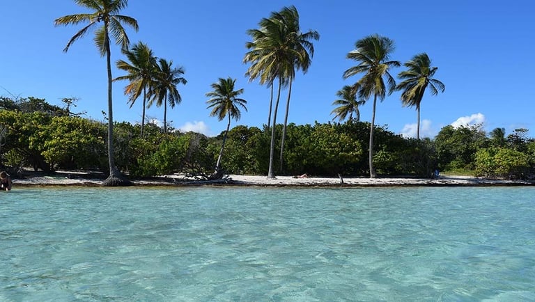 ainte anne voyage france guadeloupe