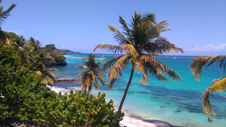 datcha voyage france guadeloupe