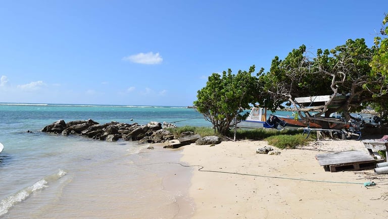 plage st francois voyage france guadeloupe