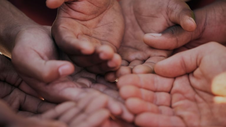 Donate to El Camí to support grassroots NGOs.