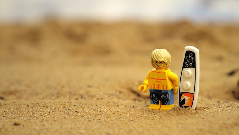 Lego banglentininkas ant smėlio, Palangoje