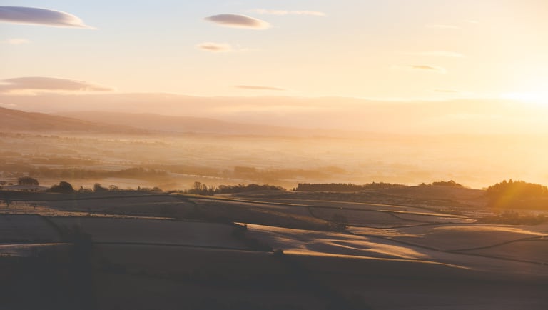 a contrasty and frosty lanscape being illuminated by a golden sunrise