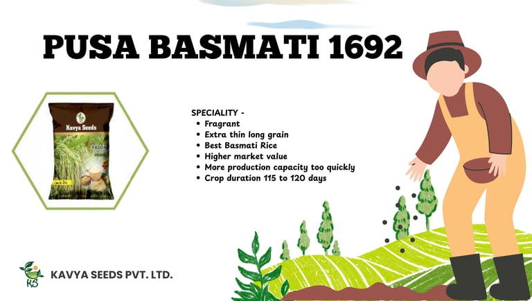 Kavya Seeds Pusa Basmati 1692 advertisement showing premium paddy seeds and list of variety features.