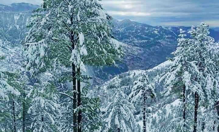 snowy mountain slope at Nathiagali 