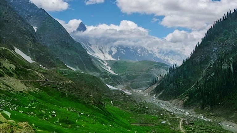 a mountain scene with a cow grazing in the grass near lake saif ul malook