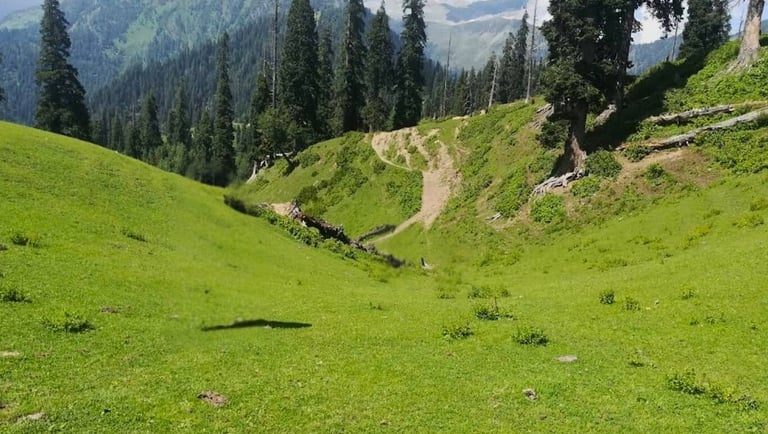 Lush green view from miranjani top 