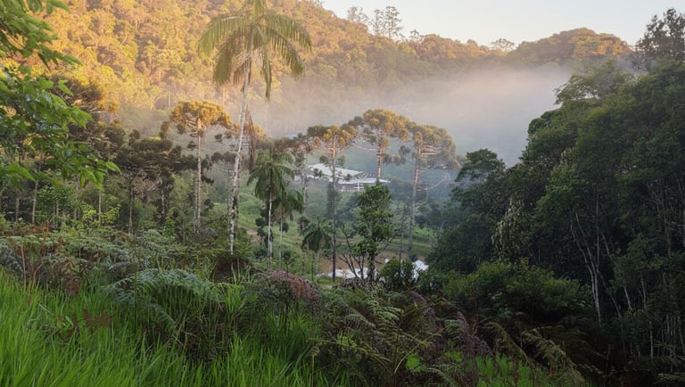 Refúgio na natureza em Juquitiba SP: Mata Atlântica preservada no Rancho São Bento.