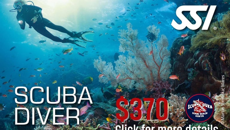 Scuba diver exploring a vibrant coral reef with tropical fish at Diani Beach Kenya.