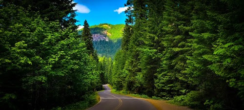 Waterfall Hwy, OR - Gorgeous views on Forest Rd on the way to Watson Falls