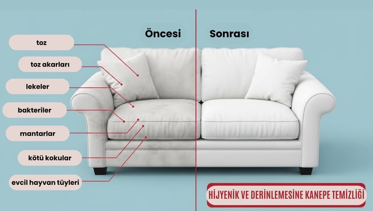 Terraura Yerinde Koltuk Yıkama Antalya Koltuk Temizliği